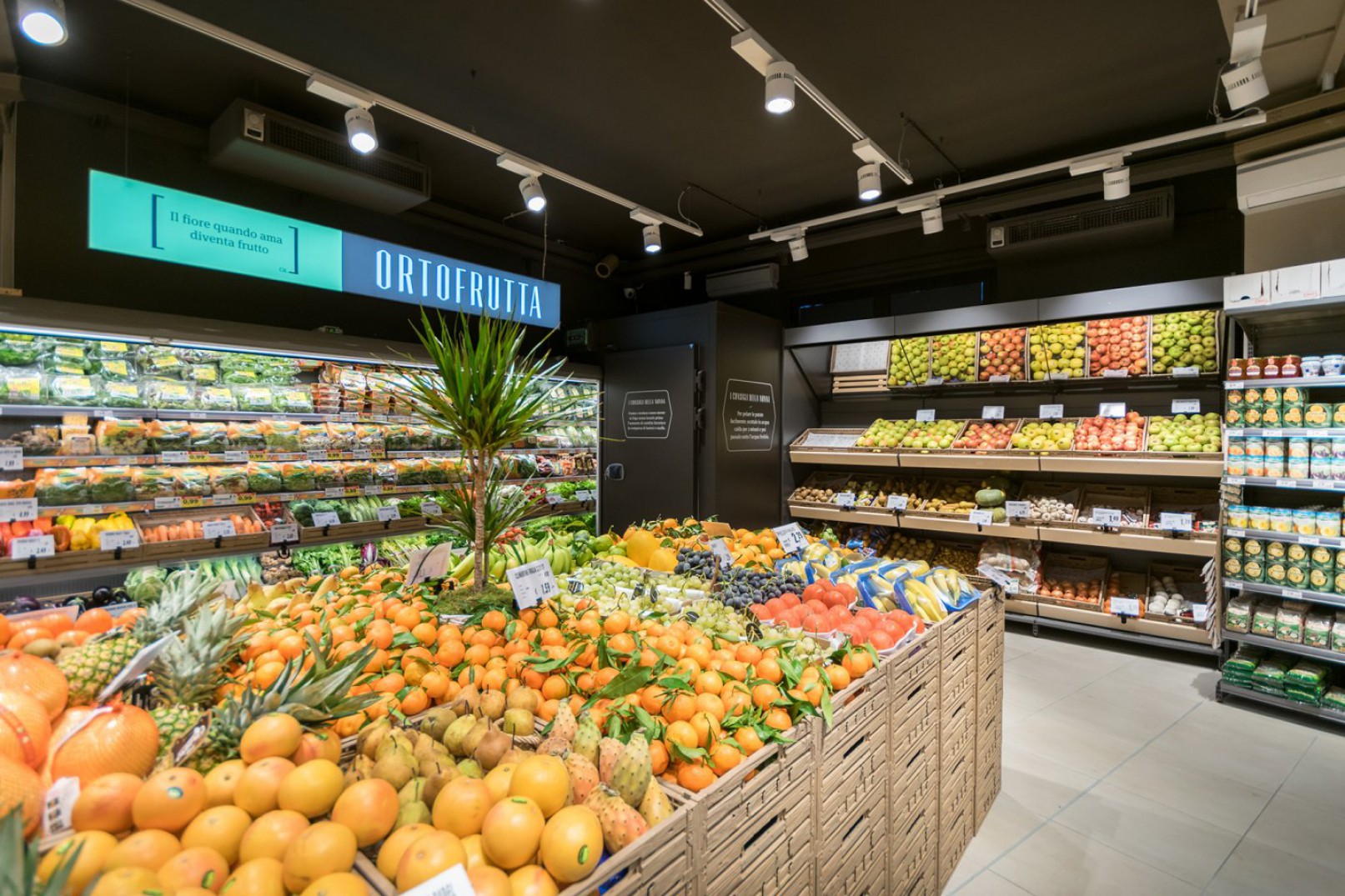 Differenziare ed esaltare: il potere dell’illuminazione nello store